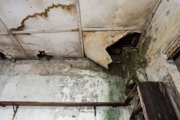 Water Damage Service in Palmdale