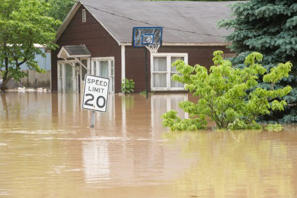 Storm Restoration Service in Palmdale
