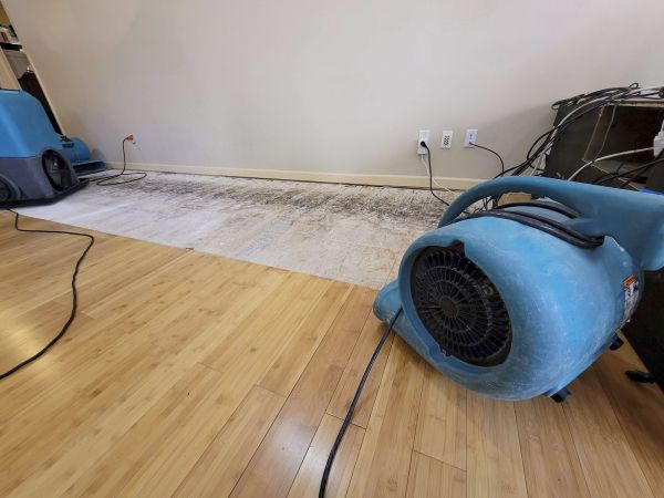 Water Damage Mitigation in Palmdale