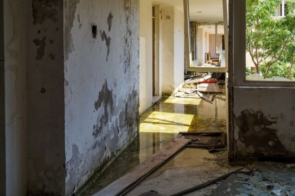 Cost of Water Removal Service in Palmdale