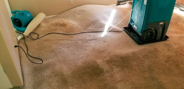 Carpet Water Extraction in Palmdale